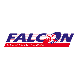 branding-falcon